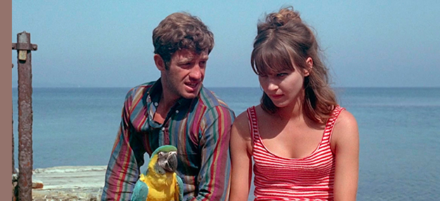 Pierrot Le Fou*