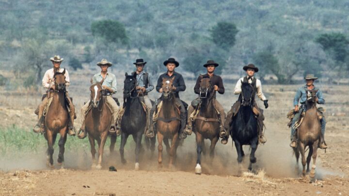 Les sept mercenaires